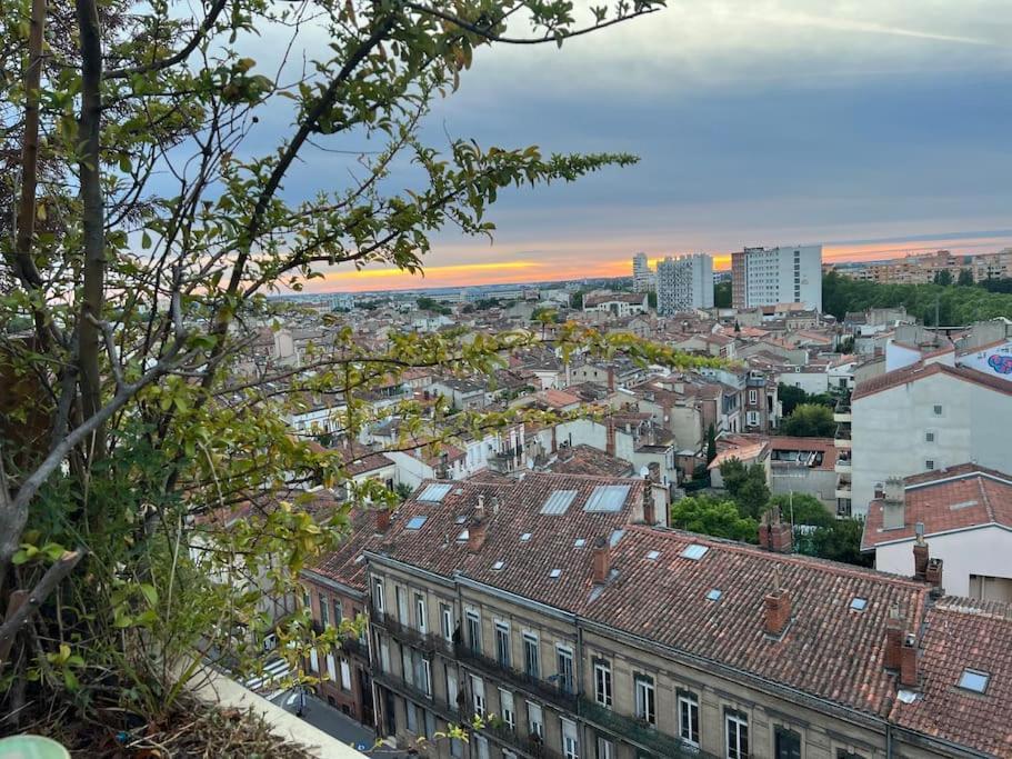Rooftop Chaleureux Hyper-Centre Lejlighed Toulouse Eksteriør billede